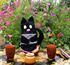 Изображение Прихватка, грелка  на чайник "Черный кот"